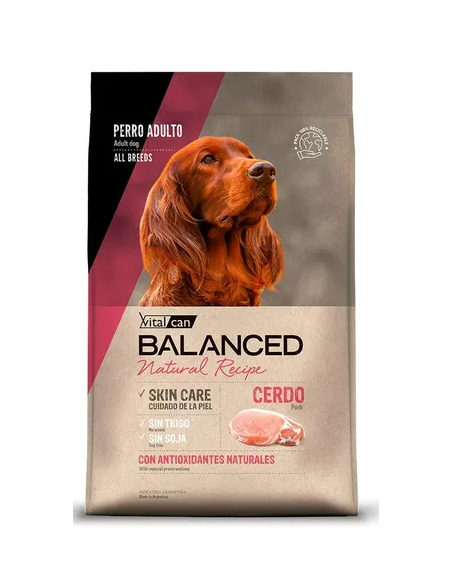 Vitalcan Balanced natural recipe cerdo